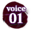 voice